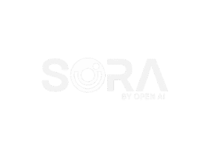 Sora-Main-Logo-2400x1800-1-1024x768-removebg-preview